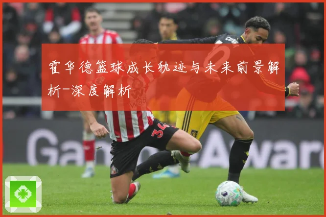 霍华德篮球成长轨迹与未来前景解析-深度解析
